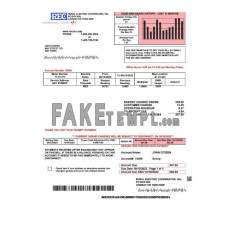 USA Rural Electric Cooperative fake utility bill Word and PDF template