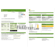 USA ScottishPower fake utility bill Word and PDF template (3 pages)