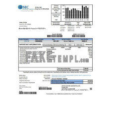 USA South Carolina Santee Electric Cooperative (SEC) fake utility bill Word and PDF template