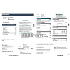 USA Spectrum fake utility bill Word and PDF template (4 pages)