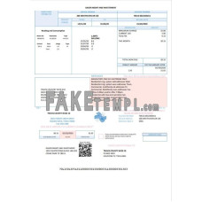 USA Texas Dasor Management and Investment fake utility bill Word and PDF template