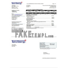 USA Texas Tara Energy fake utility bill Word and PDF template