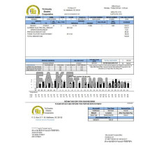 USA Tri-County Electric Cooperative fake utility bill Word and PDF template