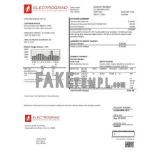 Ukarine Elektrograd fake utility bill Word and PDF template