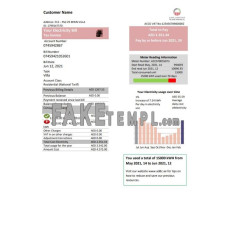 United Arab Emirates Abu Dhabi Distribution fake electricity utility bill Word and PDF template