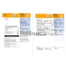 United Kingdom EDF fake utility bill Word and PDF template (3 pages)