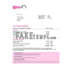 United Kingdom Igloo Energy fake utility bill Word and PDF template