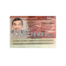 Venezuela fake entry visa photoshop template PSD