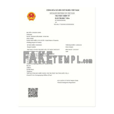 Vietnam fake electronic visa Word and PDF template