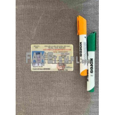 Vietnam fake driving license photolook template PSD, scan and photo-realistic look