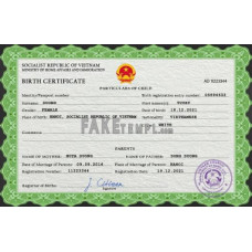 Vietnam fake birth certificate photoshop template PSD 