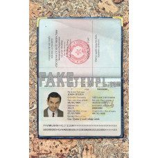 Vietnam fake passport photolook template PSD, scan and photo-realistic look, download 2 in 1, 