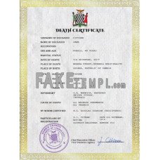 Zambia fake vital record death photoshop certificate PSD