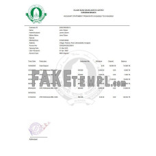 BANGLADESH ISLAMI fake bank statement Word and PDF template, version 1