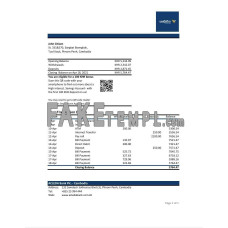 Cambodia ACLEDA fake bank statement Excel and PDF template