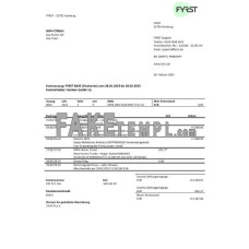 Germany Fyrst fake bank statement Word and PDF template