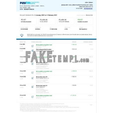 India Paytm Payments fake bank statement Word and PDF template, 2 pages, version 2