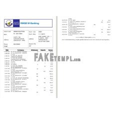 India RMGB fake bank statement Word and PDF template, 2 pages