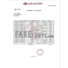 India Rupali Limited fake bank statement Word and PDF template