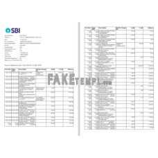 India SBI fake bank statement Word and PDF template, 2 pages