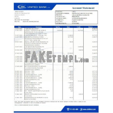 Pakistan UBL fake bank statement Word and PDF template