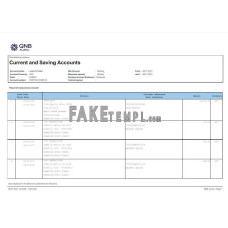 QATAR QNB ALAHLI fake bank statement Word and PDF template, version 2