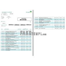 SAUDI ARABIA NCB fake bank statement Word and PDF template