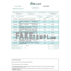 Saudi Arabia Saudi National fake bank statement Word and PDF template