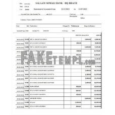 SOMALI SALAAM SOMALI fake bank statement Word and PDF template