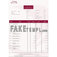 UAE Rakbank Elite fake bank statement Word and PDF template