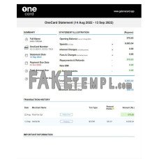 USA 1ONE CARD fake bank statement Word and PDF template