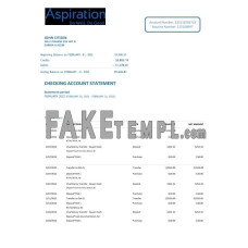 USA Aspiration fake bank statement Word and PDF template, 2 pages