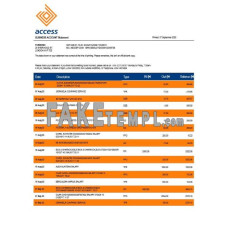 Access company checking fake business bank statement  Word and PDF template