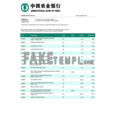 Agricultural bank of China fake business bank statement  Word and PDF template