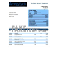 Amegy Corporation organization fake business bank statement  Word and PDF template