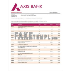 Axis enterprise fake business bank statement  Word and PDF template