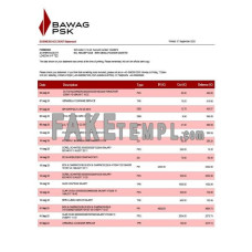 BAWAG PSK fake business bank statement  Word and PDF template