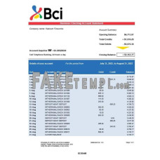 BCI fake business bank statement  Word and PDF template