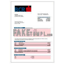 BCR fake business bank statement  Word and PDF template