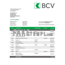 BCV fake business bank statement  Word and PDF template