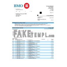 BMO Canada fake business bank statement  Word and PDF template