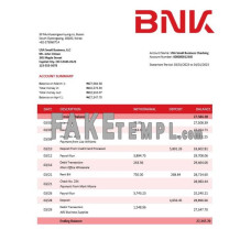 BNK Financial Group fake business bank statement  Word and PDF template