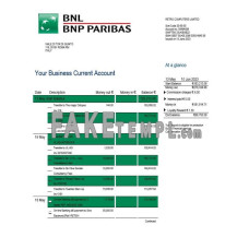 BNL fake business bank statement  Word and PDF template