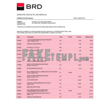 BRD fake business bank statement  Word and PDF template