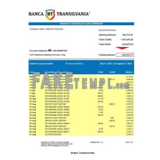 Banca Transilvania company fake business bank statement  Word and PDF template