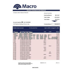 Banco Macro organization checking fake business bank statement  Word and PDF template