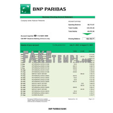 Bank BNP Paribas company fake business bank statement  Word and PDF template