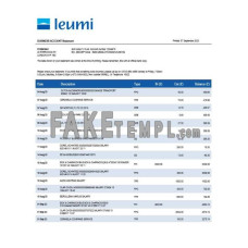 Bank Leumi fake business bank statement  Word and PDF template