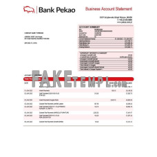 Bank Pekao S. A fake business bank statement  Word and PDF template