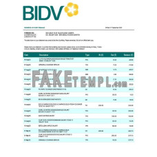 Bank for Investment and Development of Vietnam (BIDV) fake business bank statement  Word and PDF template